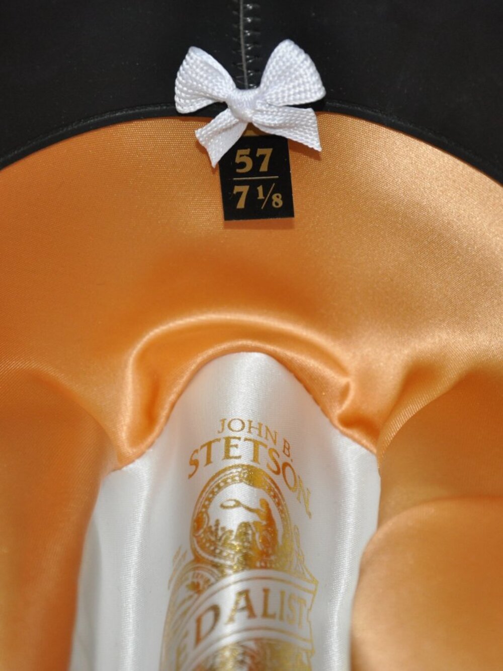 Stetson Medalist - Picture 7 of 7